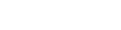 Brandpie white logo-1